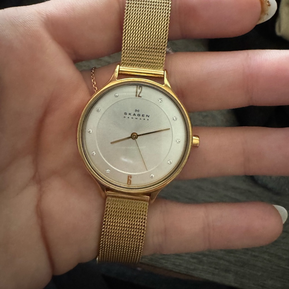 Skagen Gold-Tone Mesh Band Watch